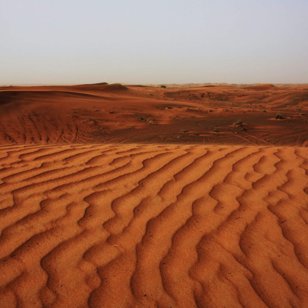 Explore the Enigmatic Deserts of the UAE – Endless Sands Await!